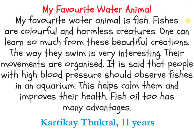 My Favourite Water Animal - Champak Magazine