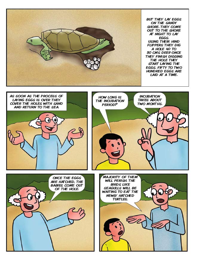dadaji and turtles