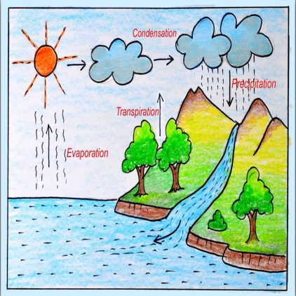water-cycle1