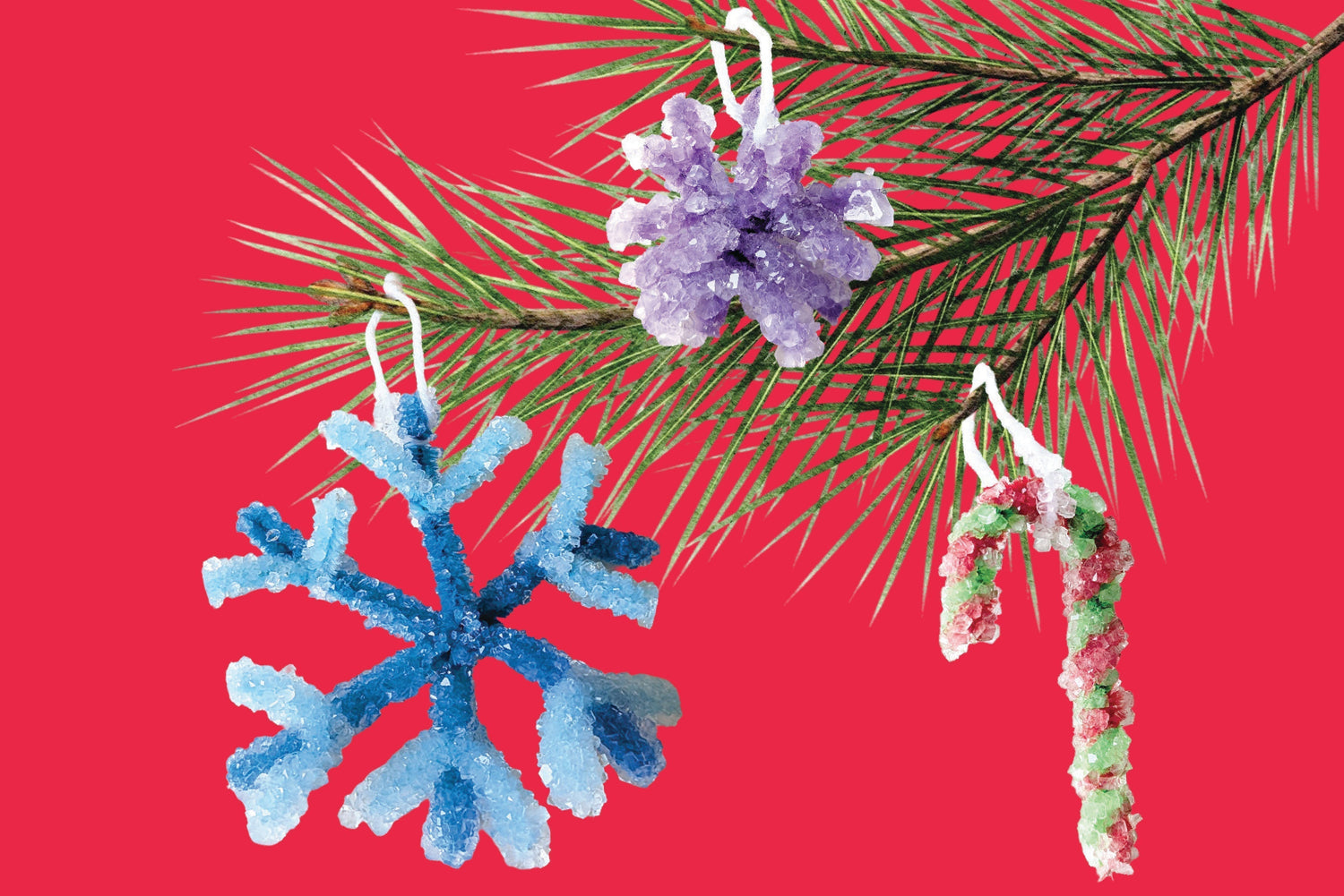 Make Your Own Sparkly Snowflake!