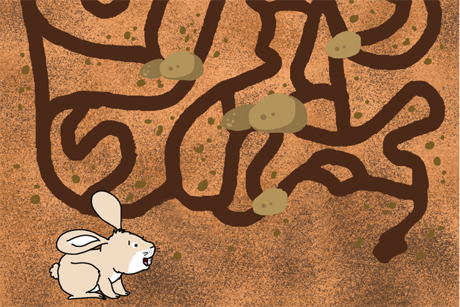 Underground Maze