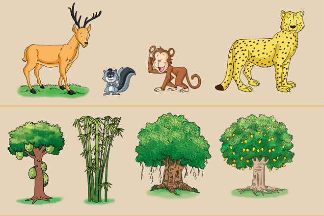 Trees Special