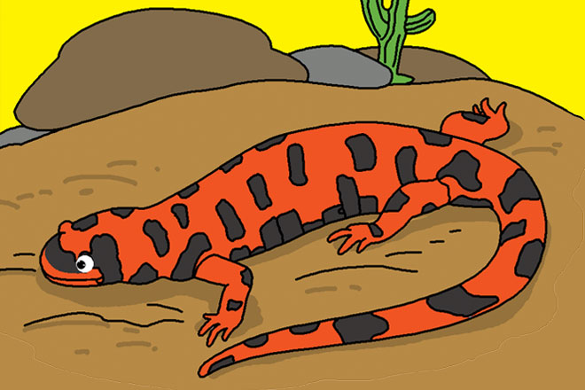 What are Gila monsters?