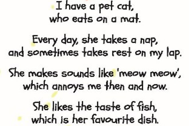 My Cat