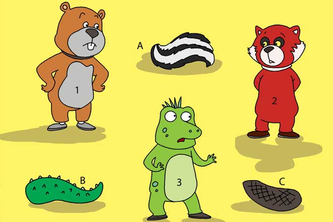 Track the Tails