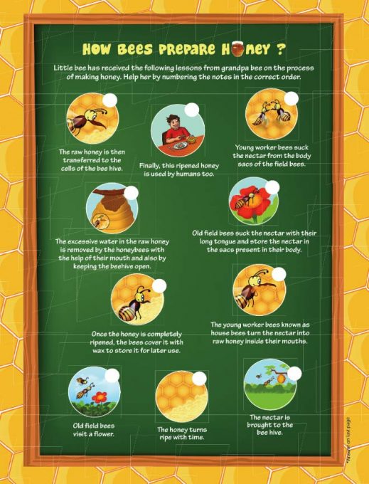 bee sequencing