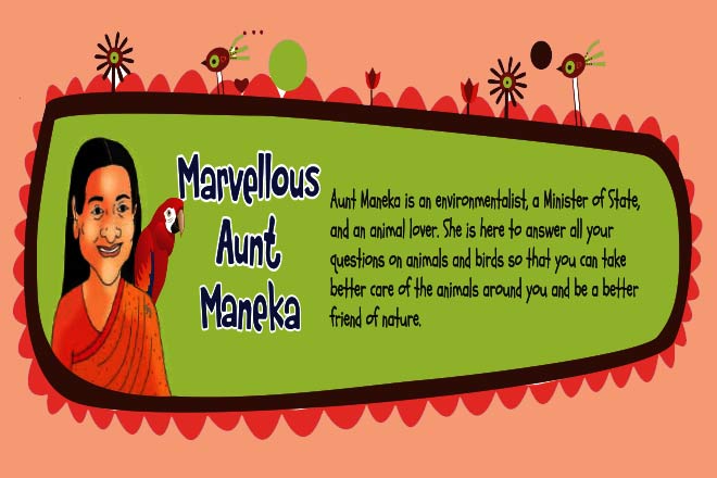 Marvellous Marvellous Aunt Maneka