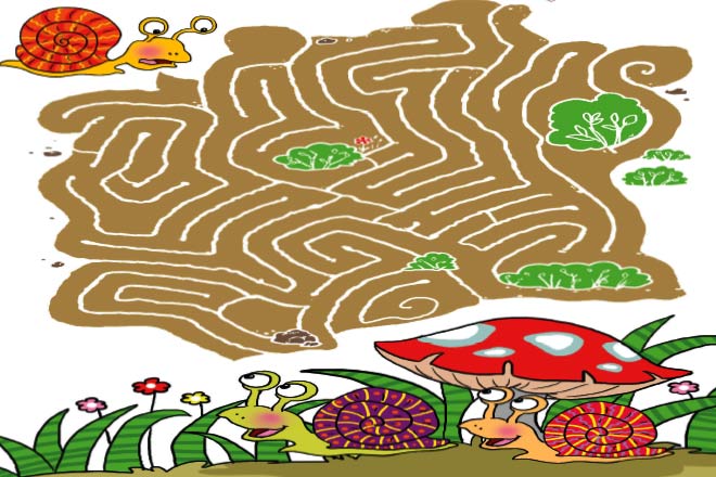 Snail’s Pace
