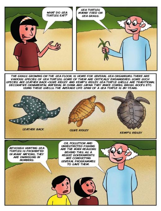 dadaji and turtles