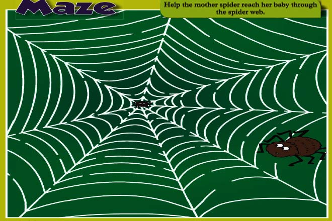 Maze of Web