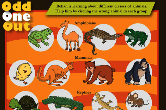 Animal Quest