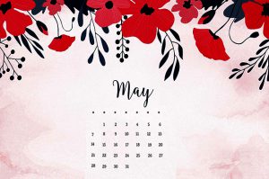 may1