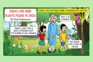 dadai-and-rare-plants-in-indiacover