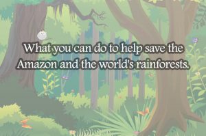 amazon-rainforest1.jpg22