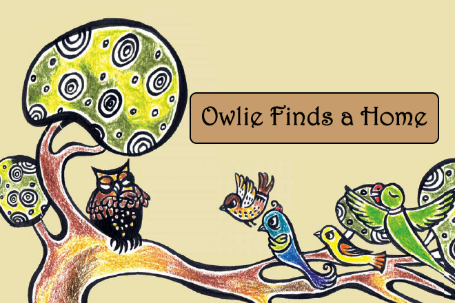 Owlie Finds a Home