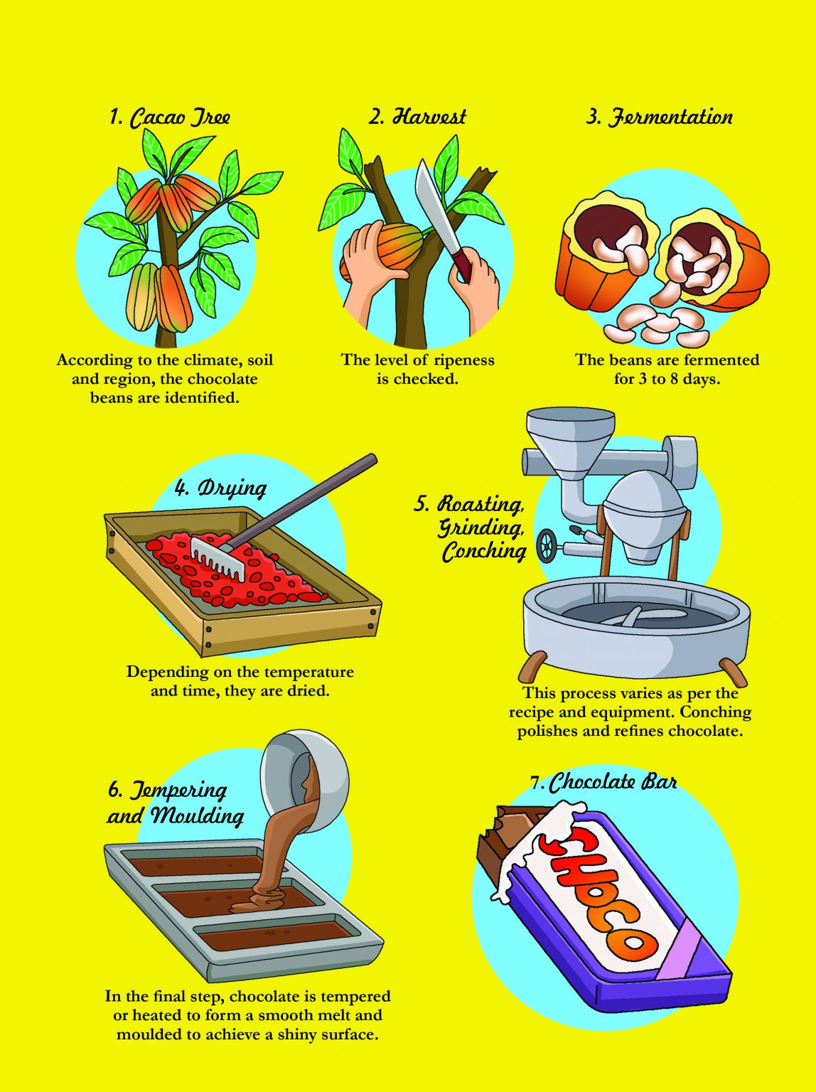 From Bean To Bar: Unlocking The Secrets Of Chocolate Creation